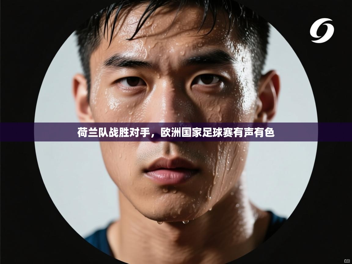 荷兰队战胜对手，欧洲国家足球赛有声有色  第1张