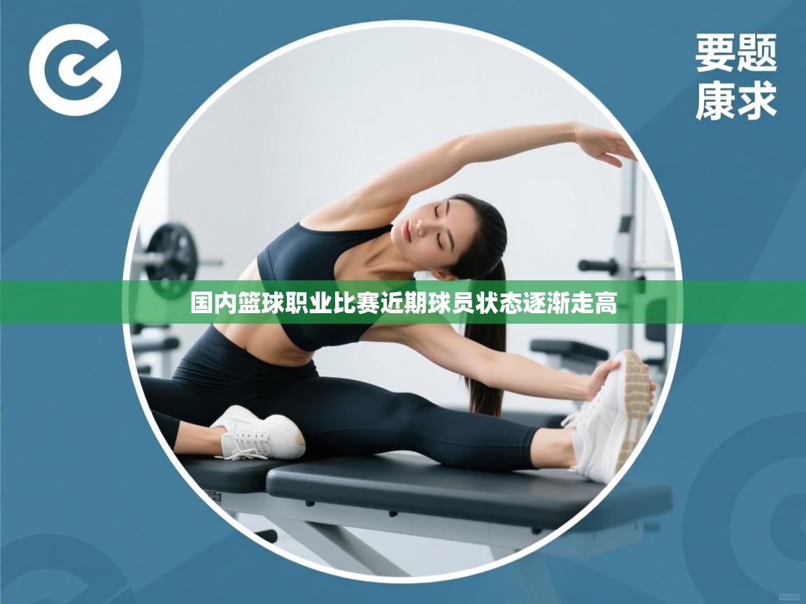 国内篮球职业比赛近期球员状态逐渐走高  第1张