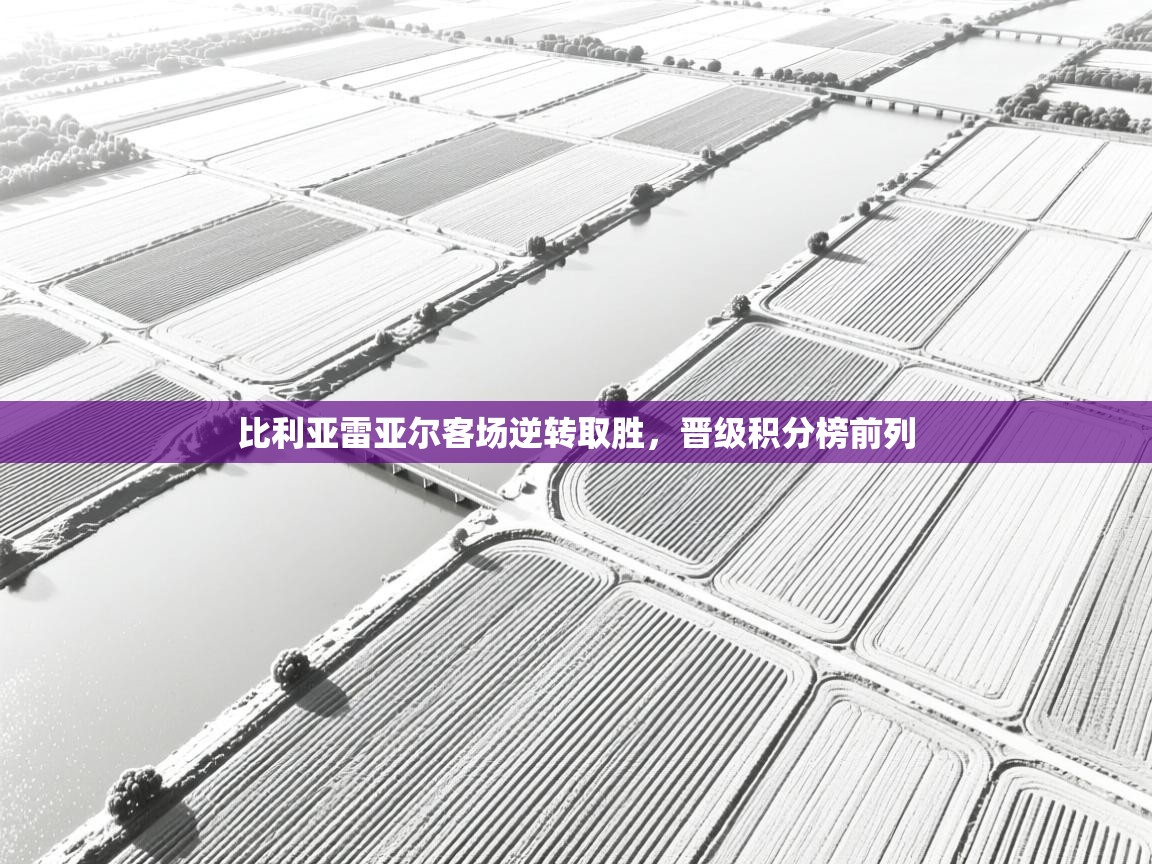 比利亚雷亚尔客场逆转取胜，晋级积分榜前列  第2张