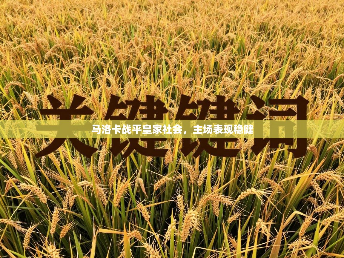 马洛卡战平皇家社会，主场表现稳健  第2张